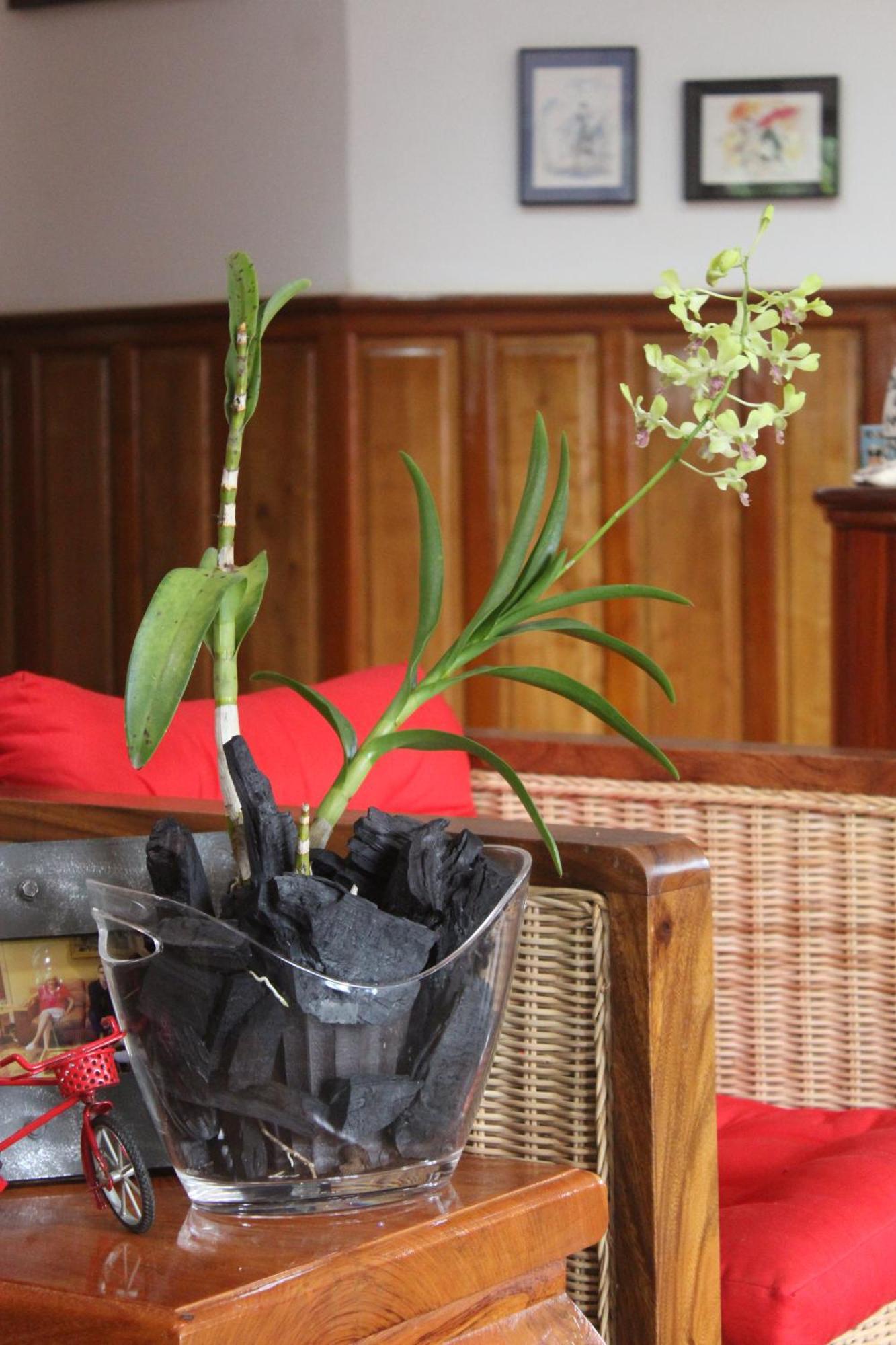 Villa B.Maison D'Hotes Angkor Siem Reap Bagian luar foto